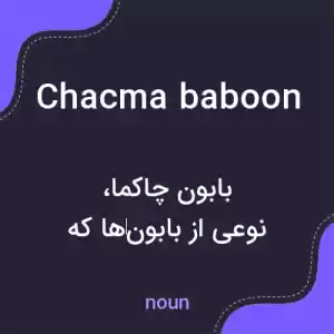 معنی chacma baboon به فارسی معنی chacma baboon به فارسی