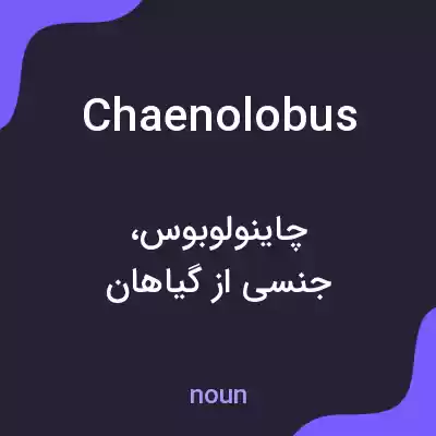 معنی chaenolobus به فارسی معنی chaenolobus به فارسی