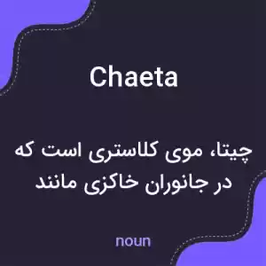 معنی chaeta به فارسی معنی chaeta به فارسی