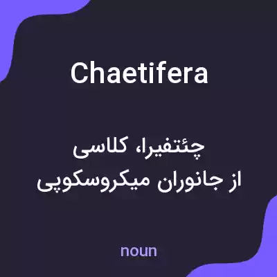 معنی chaetifera به فارسی معنی chaetifera به فارسی