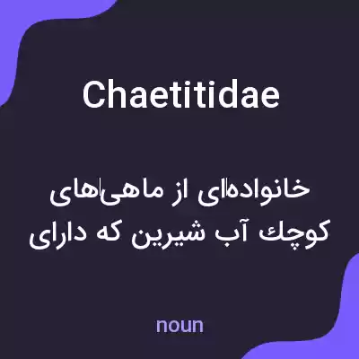 معنی chaetitidae به فارسی