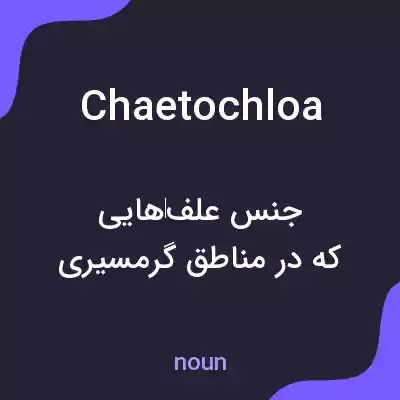 معنی chaetochloa به فارسی معنی chaetochloa به فارسی