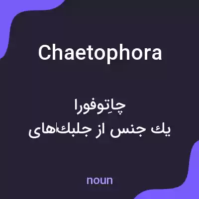 معنی chaetophora به فارسی معنی chaetophora به فارسی