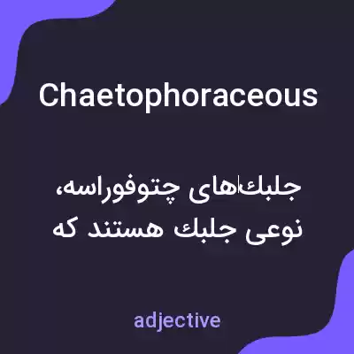 معنی chaetophoraceous به فارسی معنی chaetophoraceous به فارسی