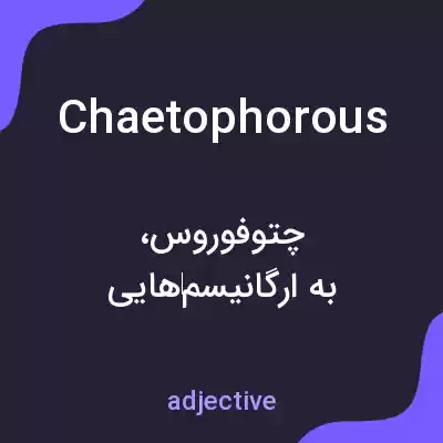 معنی chaetophorous به فارسی معنی chaetophorous به فارسی