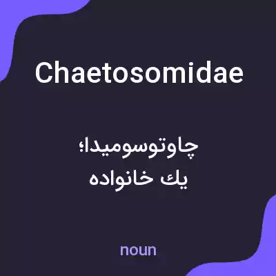 معنی chaetosomidae به فارسی