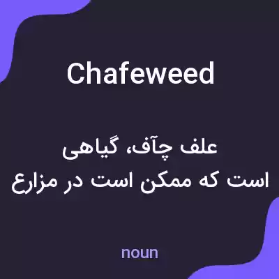 معنی chafeweed به فارسی معنی chafeweed به فارسی