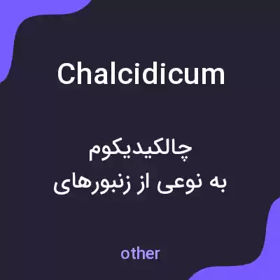 معنی chalcidicum به فارسی معنی chalcidicum به فارسی