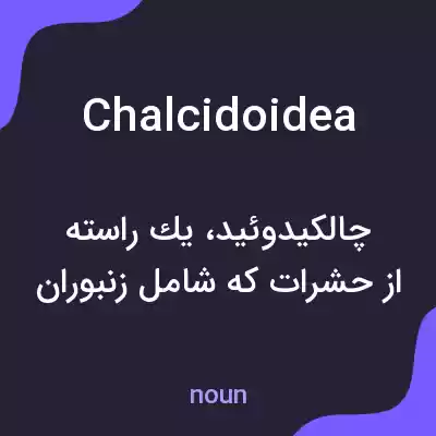 معنی chalcidoidea به فارسی معنی chalcidoidea به فارسی