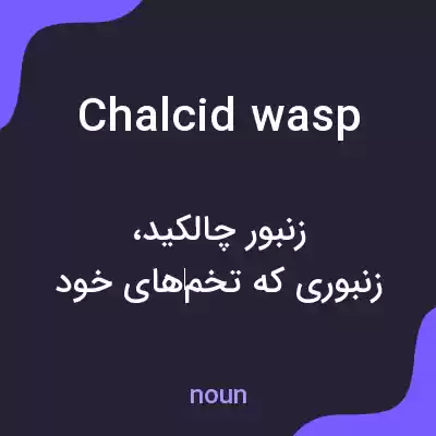 معنی chalcid wasp به فارسی معنی chalcid wasp به فارسی