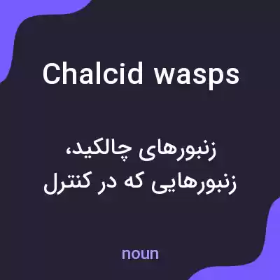 معنی chalcid wasps به فارسی معنی chalcid wasps به فارسی