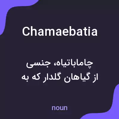 معنی chamaebatia به فارسی معنی chamaebatia به فارسی