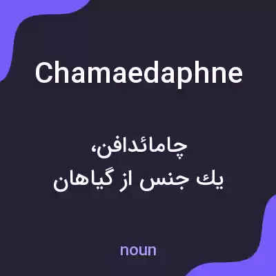 معنی chamaedaphne به فارسی معنی chamaedaphne به فارسی