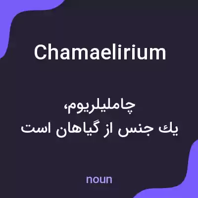 معنی chamaelirium به فارسی معنی chamaelirium به فارسی