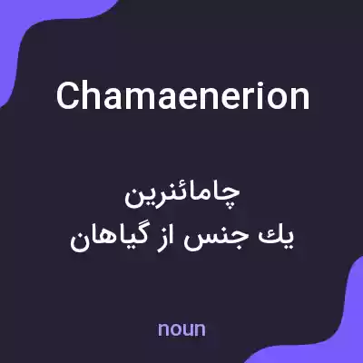 معنی chamaenerion به فارسی معنی chamaenerion به فارسی