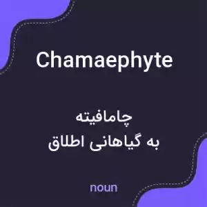 معنی chamaephyte به فارسی معنی chamaephyte به فارسی