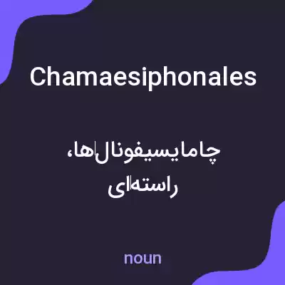 معنی chamaesiphonales به فارسی معنی chamaesiphonales به فارسی