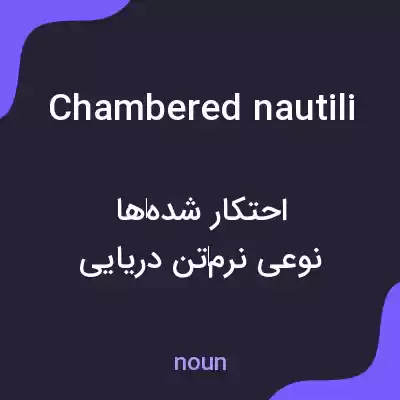 معنی chambered nautili به فارسی