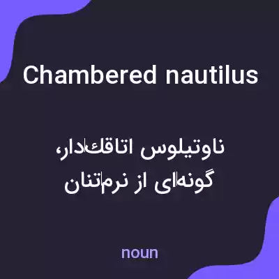 معنی chambered nautilus به فارسی معنی chambered nautilus به فارسی