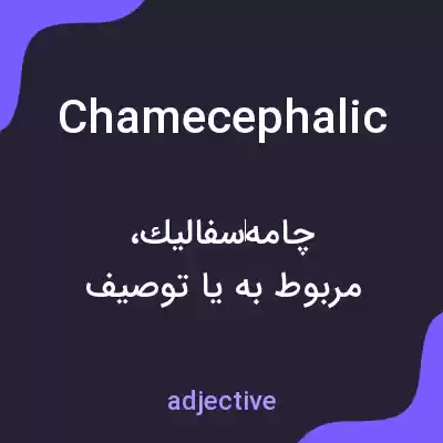 معنی chamecephalic به فارسی معنی chamecephalic به فارسی