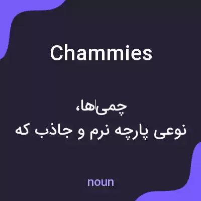 معنی chammies به فارسی