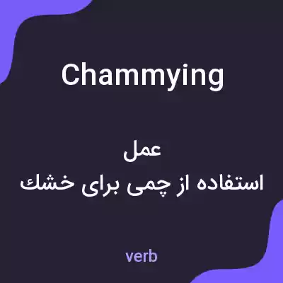 معنی chammying به فارسی معنی chammying به فارسی