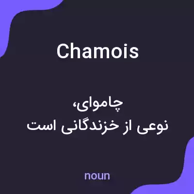 معنی chamois به فارسی معنی chamois به فارسی