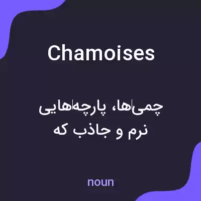 معنی chamoises به فارسی