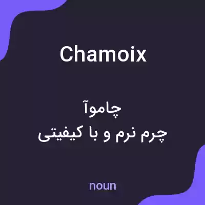 معنی chamoix به فارسی معنی chamoix به فارسی