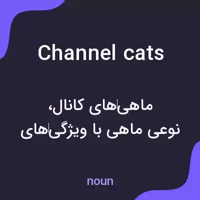 معنی channel cats به فارسی معنی channel cats به فارسی