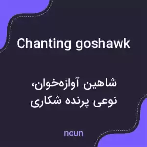 معنی chanting goshawk به فارسی معنی chanting goshawk به فارسی