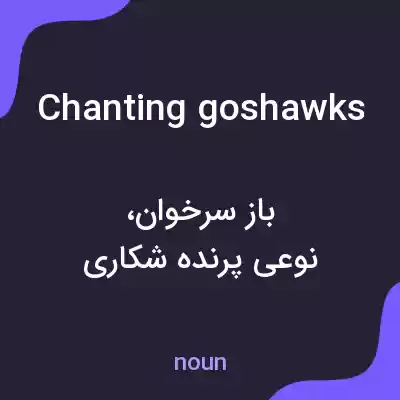 معنی chanting goshawks به فارسی معنی chanting goshawks به فارسی