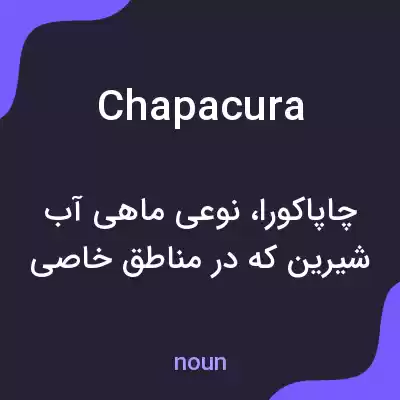 معنی chapacura به فارسی معنی chapacura به فارسی