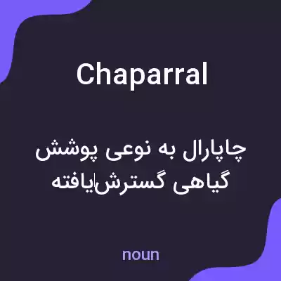 معنی chaparral به فارسی معنی chaparral به فارسی