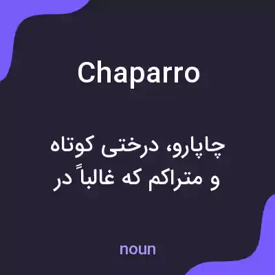 معنی chaparro به فارسی معنی chaparro به فارسی