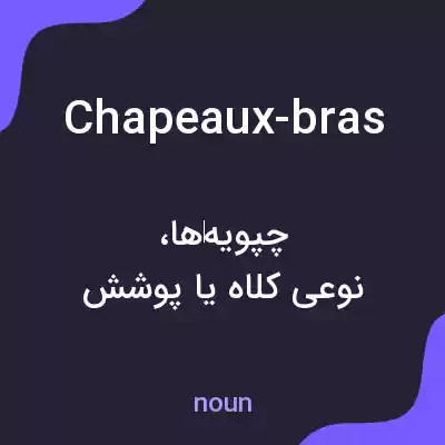 معنی chapeaux-bras به فارسی معنی chapeaux-bras به فارسی