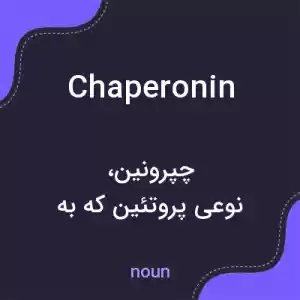 معنی chaperonin به فارسی معنی chaperonin به فارسی