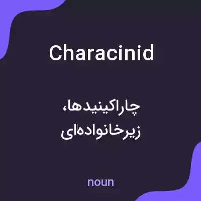 معنی characinid به فارسی معنی characinid به فارسی