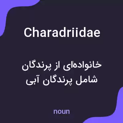 معنی charadriidae به فارسی معنی charadriidae به فارسی