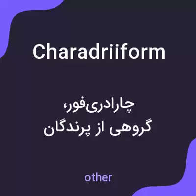 معنی charadriiform به فارسی معنی charadriiform به فارسی