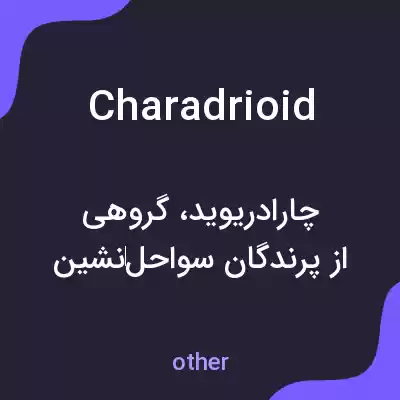 معنی charadrioid به فارسی معنی charadrioid به فارسی