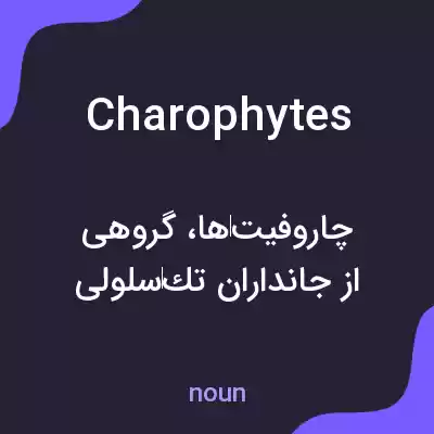 معنی charophytes به فارسی معنی charophytes به فارسی