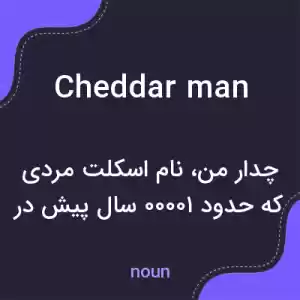 معنی cheddar man به فارسی