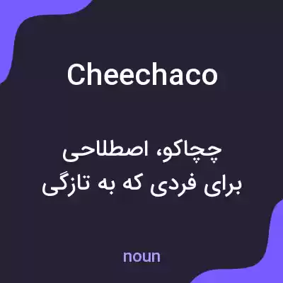 معنی cheechaco به فارسی معنی cheechaco به فارسی