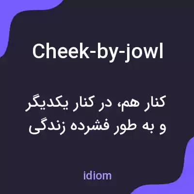 معنی cheek-by-jowl به فارسی معنی cheek-by-jowl به فارسی