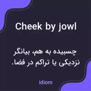 معنی cheek by jowl به فارسی معنی cheek by jowl به فارسی