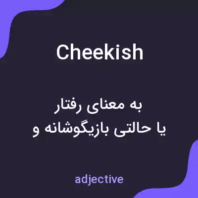 معنی cheekish به فارسی معنی cheekish به فارسی