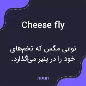 معنی cheese fly به فارسی معنی cheese fly به فارسی