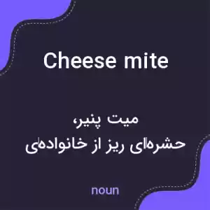 معنی cheese mite به فارسی معنی cheese mite به فارسی