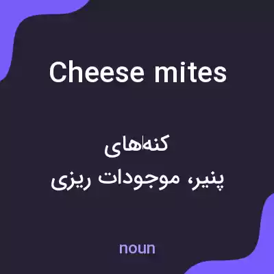 معنی cheese mites به فارسی معنی cheese mites به فارسی